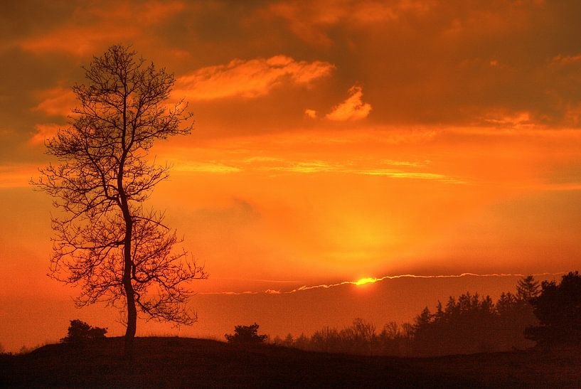 Appelscha - zonsondergang Kale Duinen | Aekingerzand von Meindert van Dijk