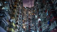 Hongkong Hive by Remco van Adrichem thumbnail