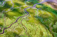 Luchtfoto van kwelder op Schiermonnikoog van Frans Lemmens thumbnail