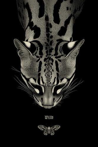 Wild Soul