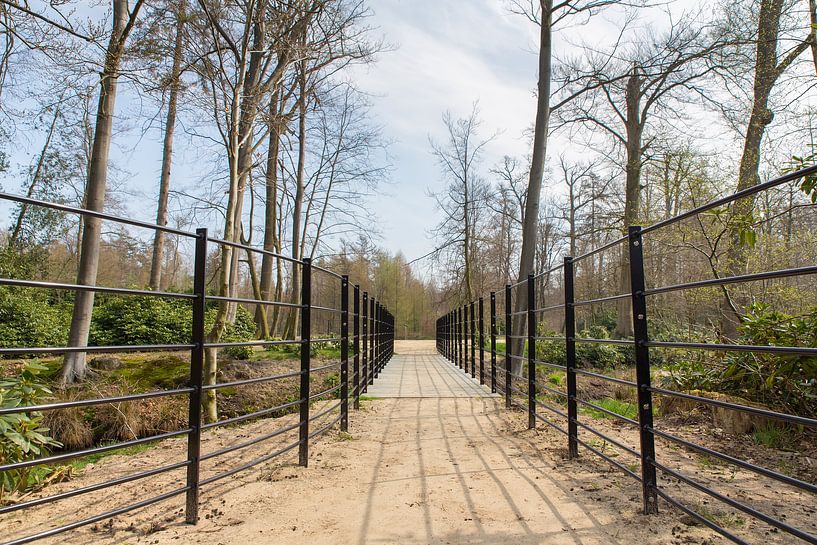 Path with new metal bridge over forest stream in nature by Ben Schonewille