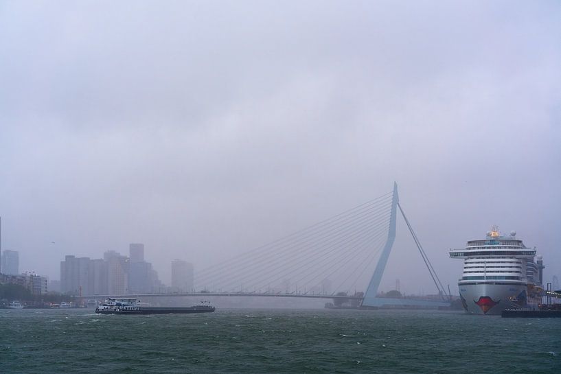 Rotterdam op een stormachtige herfstochtend van Richard de Boorder