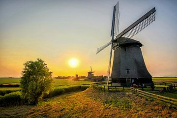 So schön, so rein, so Dutch sur Elmar Marijn Roeper