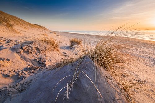 In de duinen van Texel