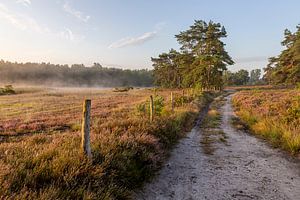 zonsopkomst op de heide van de teut in Limburg