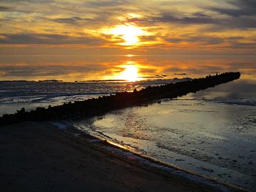 Op het strand van Froukje Hobma