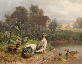 Ducks at the pond, Carl Jutz