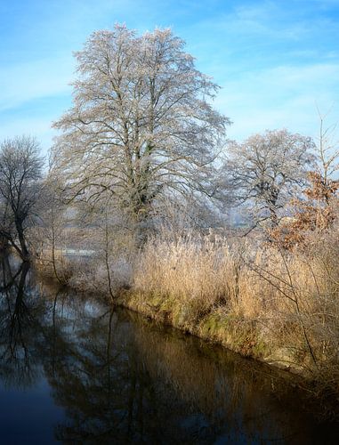 Idyllisch winterlandschap bij de rivier de Paar