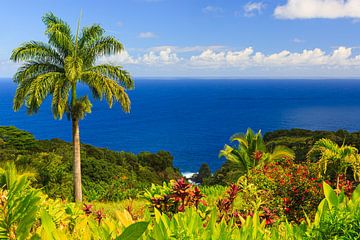 Garden of Eden, Maui, Hawaii van Henk Meijer Photography