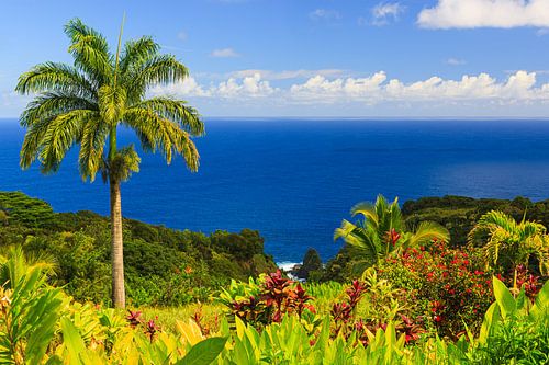 Garten Eden, Maui, Hawaii von Henk Meijer Photography