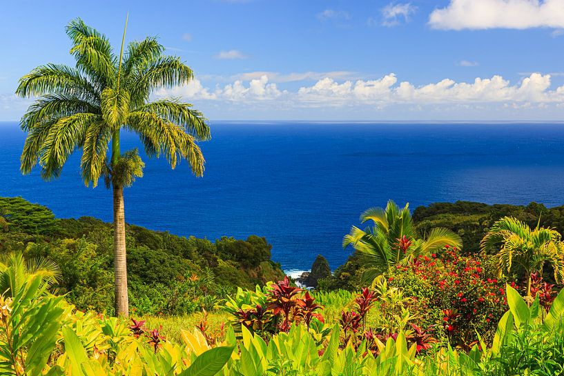 Garden of Eden, Maui, Hawaii van Henk Meijer Photography