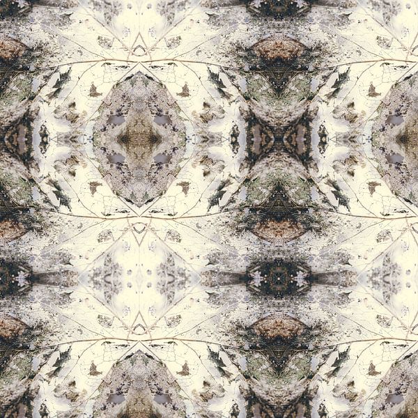 Herfstblad | kaleidoscopische compositie van Rob van der Pijll