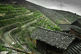 Traditional farmhouse. Misty autumn landscape with rice terraces. China, Yangshuo, Longsheng Rice Te by Michael Semenov