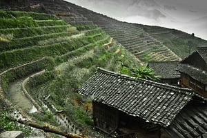 Ferme traditionnelle. Paysage automnal brumeux avec rizières en terrasses. Chine, Yangshuo, Longshen sur Michael Semenov