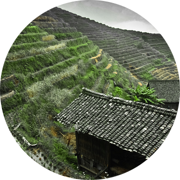 Traditionele boerderij. Mistig herfstlandschap met rijstterrassen. China, Yangshuo, Longsheng Rijstt van Michael Semenov