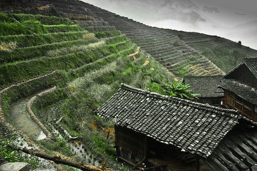 Traditionele boerderij. Mistig herfstlandschap met rijstterrassen. China, Yangshuo, Longsheng Rijstt