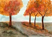 Bomen in de herfst van Sandra Steinke thumbnail