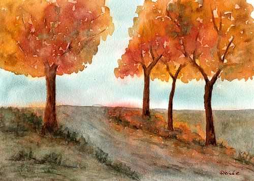 Trees in autumn