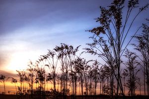 Engbertsdijkvenen, Natur in Overijssel