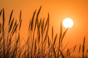 Coucher de soleil dans les dunes sur Christian Müringer