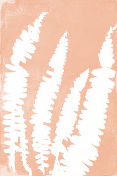 Weiße Farne im Retro-Stil. Moderne botanische Kunst in heller Terrakotta- oder rosa Lachsfarbe von Dina Dankers