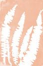 Weiße Farne im Retro-Stil. Moderne botanische Kunst in heller Terrakotta- oder rosa Lachsfarbe von Dina Dankers Miniaturansicht