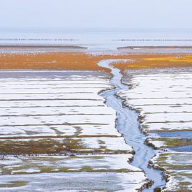 aan de kust van Elvira Werkman