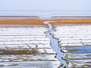 bord de mer