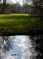 Still water
