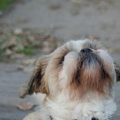 Kaoutar Belhaj photo de profil