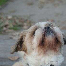 Kaoutar Belhaj photo de profil