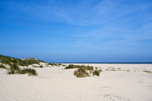 Strand mit Dünengras am Meer