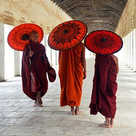 novices in Bagan by luc Utens