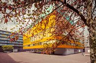 Stedelijk Gymnasium te 's-Hertogenbosch, Nederland van Marcel Bakker thumbnail