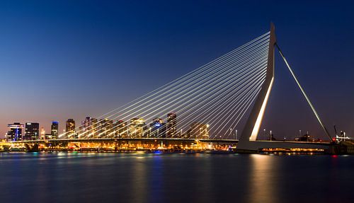 De Erasmusbrug in Rotterdam