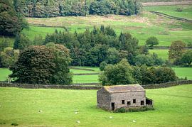 Yorkshire Dales von Richard Wareham