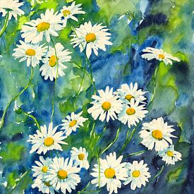 Margeriten Aquarellgemälde von Karen Kaspar