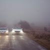 Monsters lurk in the fog van Sytse Dijkstra