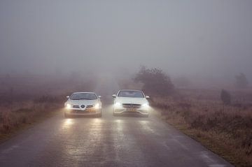 Monsters lurk in the fog van Sytse Dijkstra