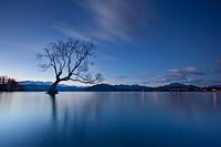 Wanaka schemering