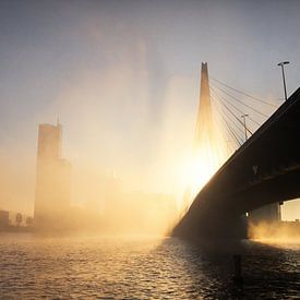 Nebliger Morgen in Rotterdam von Gijs Koole