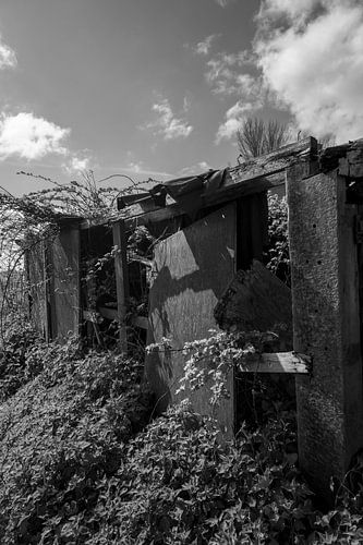 Verfallenes Bauernhaus in Friesland