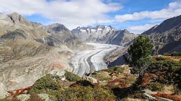 Aletsch Glacier Switzerland by van Veldhuisen Fotografie