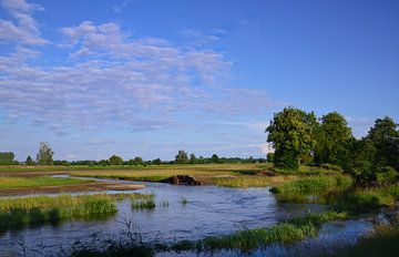 Landschap met rivier en bomen van Ulrike Leone