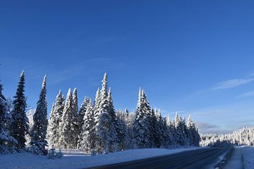 Une route de campagne en hiver sur Claude Laprise