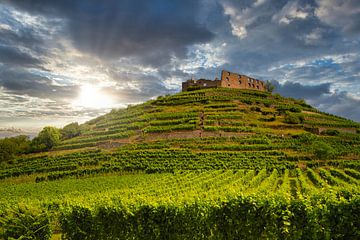 Kasteelruïne in Staufen im Breisgau van Photo Art Thomas Klee