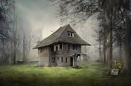 Old house in the woods by Renato Daub