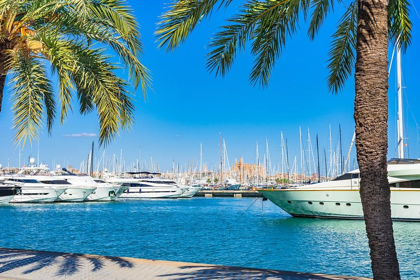 Yachts de luxe à la marina de Palma de Majorque, Espagne par Alex Winter