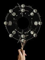 Phases II