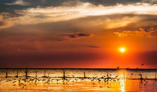 Zonsondergang op het IJsselmeer